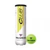 Bote De Pelotas TECNIFIBRE Club B4